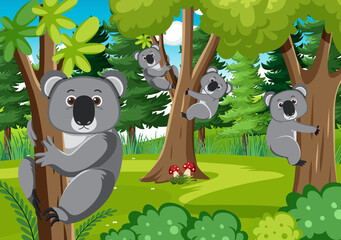 Poster - Koalas in the forest background