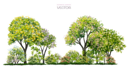 Wall Mural - vector watercolor blooming flower tree or forest side view isolated on white background for landscap