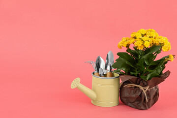 Gardening tools and accessories on pink background