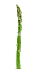 Wall Mural - Single stem of green asparagus isolated with clipping path