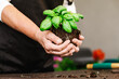 © ADDICTIVE STOCK - Unrecognizable person holding green plant with roots