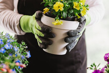 Anonymous Woman Holding Potted Flowers
