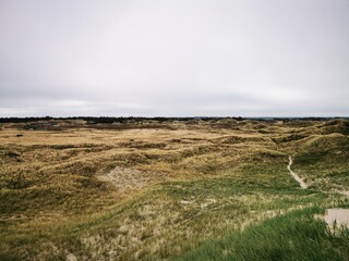 Danish beach scene, Beach and waves, Dunes in the Denmark, Danish North Sea coast