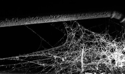 Wall Mural - spider web on a dark background