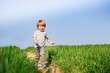© Sergey Novikov - Cute boy run smiling in the clear spring field