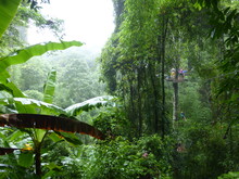 Zipwire And Abseil Through The Rain Forest During A Storm In Chiang Mai, Northern Thailand 