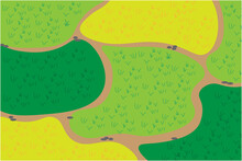 Green Rice Field From Aerial View Vector Illustration