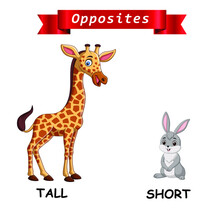 Opposite English Words Tall And Short