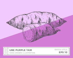 Wall Mural - hand drawn vector purple yam ube vegetable root illustration. vegan based food drawing with colorful