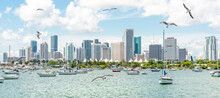 Miami Skyline With Yachts, Boats, Seagulls And Skyscrapers 