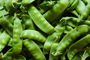 Wall Mural - Photography of snow peas for food illustrations