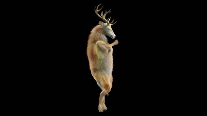 Wall Mural - deer dancing cg fur 3d rendering animal realistic cgi vfx animation loop composition 3d mapping cart