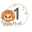 Baby boy lion 1 month milestone. Hand drawn watercolor baby leo with 1 month lettering. Isolated on white background. Cute baby monthly growth illustration. Nursery frame art. Motherhood, Baby theme.