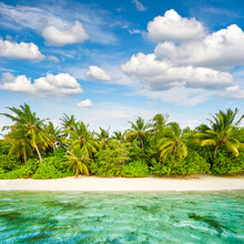 Summer Vacation Sand Beach Palm Trees Blue Sky Landscape