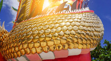 Golden Texture Golden Dragon Scales Glow Under The Blue Sky For Background Or Illustration.