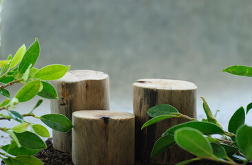 Natural product display stand, real wood product display stand, with copy space for displaying product design on blurry carpet floor, website ad banner, natural looking,