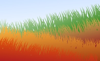 Wall Mural - Grass. Nature rural landscape. Pasture overgrown. Overgrown dense lawn. Vector