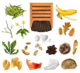 Poster - Compost Items Realistic Set