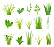 Green bushes. Realistic grass illustrations garden botanical decoration decent vector bushes collection