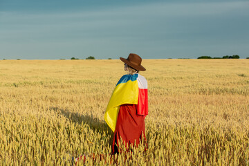 Sticker - Girl with Ukraine and Poland flags in wheat field and blue sky on background