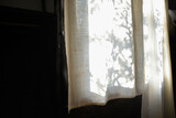Fototapeta  - Leaves tree branch shade with sunlight on calico curtain.