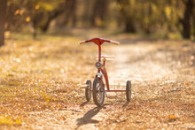 Vintage Bike Outdoor In Autumn Park