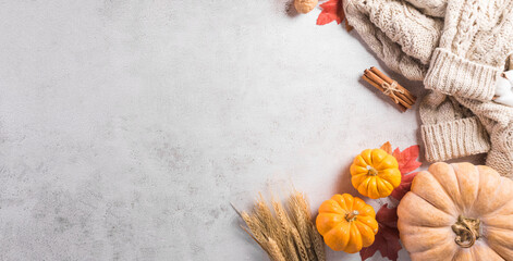 Wall Mural - autumn composition. pumpkin, cotton flowers, autumn leaves and sweater on stone background. flat lay