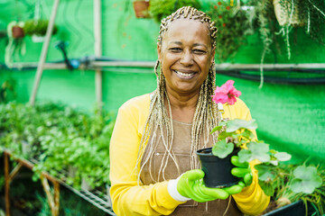 African senior woman working inside greenhouse garden - Nursery and spring concept - Focus on face