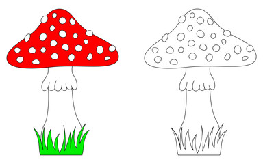 Wall Mural - Toadstool mushroom colorful and black and white. Amanita coloring book page for children. Fungus vector illustration isolated on white background.