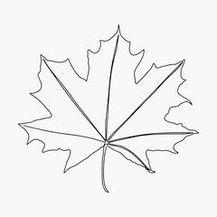 Wall Mural - Vector autumn leaf continuous line drawing. Autumn leaf one line style icon vector illustration design