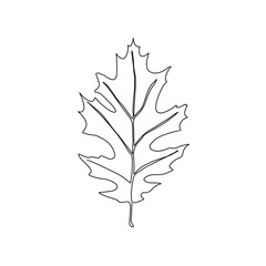 Wall Mural - Autumn leaf continuous line drawing. Autumn leaf one line style icon