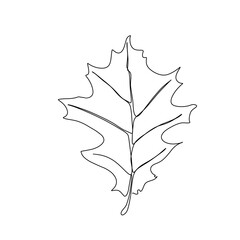 Wall Mural - Autumn leaf continuous line drawing. Autumn leaf one line style icon