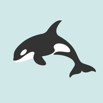 Cartoon killer whale. Сute orca print. Vector illustration.