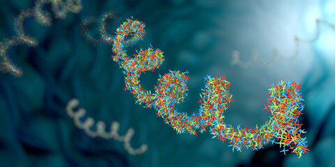 Wall Mural - Ribonucleic acid strands consisting of nucleotides important for protein bio-synthesis - 3d illustration