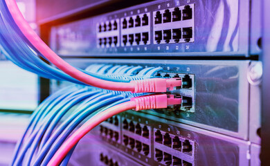 Information Technology Computer Network, Telecommunication Ethernet Cables Connected to Internet Switch.