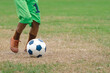 © JinnaritT - Football soccer children training class. Kindergarten and elementary school kids playing football in a field. Group of boys running and kicking soccer on sports grass pitch. Selective focus on ball.