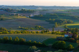 Fototapeta Londyn - Landscape of the hills of Monferrato in Piedmont in Northern Italy at sunset time golden hour