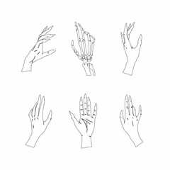 Wall Mural - Hand-drawn set of lineart female hands in different poses. Vector illustrations in black outline style