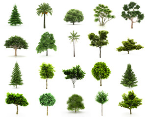 set of trees