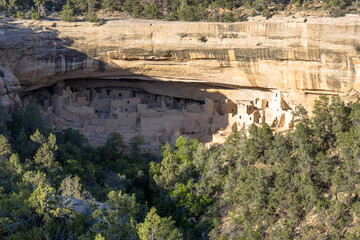 Wall Mural - Spectacular Cliff Palace in early-morning light in Navajo Canyon in Mesa Verde National Park in Colorado