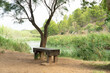 a wooden bench in the forest next to the river, the wooden long chair under the trees, the bench next to the peaceful river