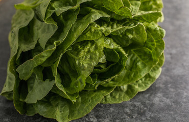 Wall Mural - Healthy food, green leaf lettuce salad top view