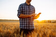 © maxbelchenko - Farmer is standing in his growing wheat field and holding phone and using Internet . Agriculture, gardening, technology concept.