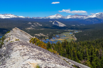 Wall Mural - Panoramic shot of Sierra Nevada mountain range in Yosemite National Park, California, USA. Vast landscape with forests and mountain peaks on a beautiful sunny day