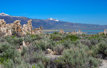 Wall Mural - Geological formations in Mono Lake, saline soda lake in Mono County, California, USA. Beautiful sunny day of summer. South Tufa area.