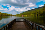 Fototapeta Pomosty - Wooden pier on the lake and forest with cloudy sky on the background
