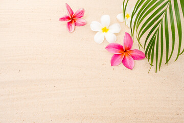 frangipani flower on sand beach background