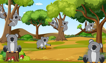 Wall Mural - Koalas in the forest scene