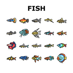 Sticker - Aquarium Fish Tropical Animal Icons Set Vector. Angelfish And Rainbowfish, Danios And Gourami, Cory Catfish And Tetras Exotic Decorative Aquarium Fish. Underwater Life Color Illustrations