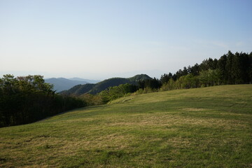 landscape in the summer